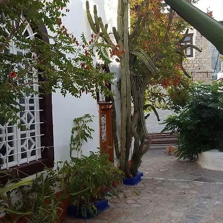 Vendégház Manolia *